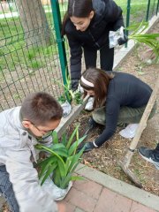 viber_slika_2024-04-23_16-32-24-467.jpg